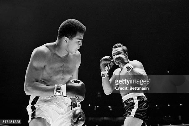 Challenger Cleveland Williams holds up his fists to champion Cassius Clay's head during first round action. Clay won by a third round TKO to retain...