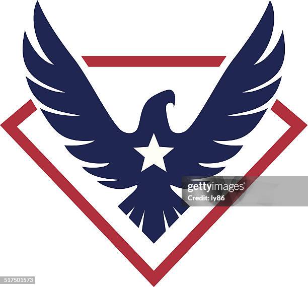 stockillustraties, clipart, cartoons en iconen met super eagle - bald eagle with american flag