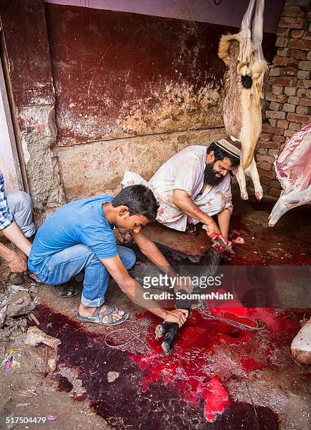 animals being sacrificed to mark eid ul-adha. - killing stock pictures, royalty-free photos & images