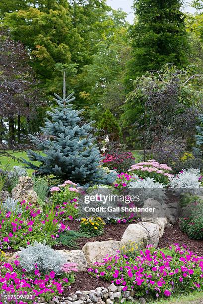 garden on the burm - hårda material landskapsarkitektur bildbanksfoton och bilder