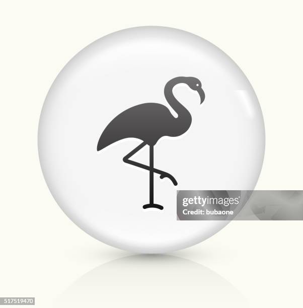 flamingo icon on white round vector button - flamingo pattern stock illustrations
