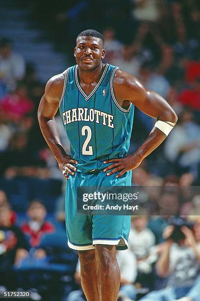Larry Johnson of the Charlotte Hornets looks on during the NBA game against the Miami Heat on November 27 in Miami, Florida. NOTE TO USER: User...