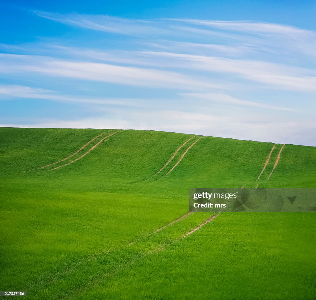 Spring landscape