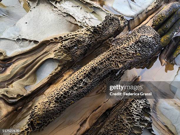 Tafoni Pattern 424 Tafoni Stock Photos, High-Res Pictures, and Images - Getty Images
