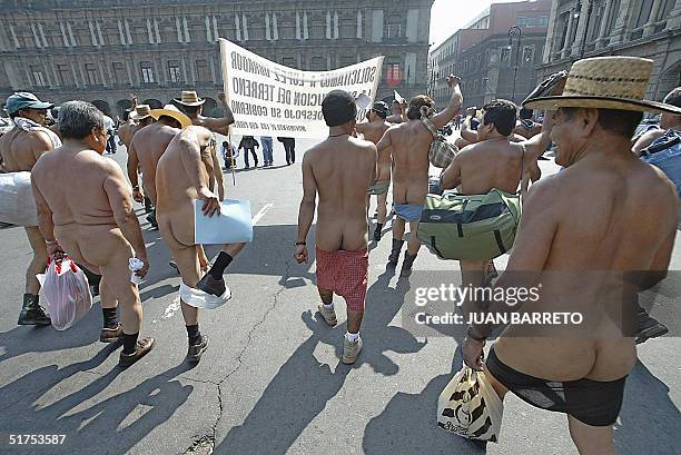 Farmers strip off to protest naked against Mexico City's government 16 November, 2004 at El Zocalo, Mexico City. Some 400 demonstrators from the...