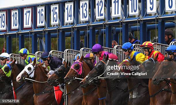 General view of horses in the barriers at the start of Race 9 during Melbourne Racing at Caulfield Racecourse on March 26, 2016 in Melbourne,...
