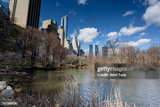 springtime at central park pond with a backdrop of skyscrapers - street style new york city march 2016 stock pictures, royalty-free photos & images