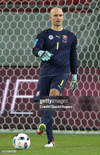 Jan Mucha of Slovakia looks on during the international friendly match between Slovakia and Latvia held at Stadion Antona Malatinskeho on March 25,...