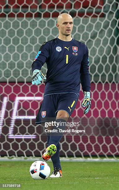 Jan Mucha of Slovakia looks on during the international friendly match between Slovakia and Latvia held at Stadion Antona Malatinskeho on March 25,...