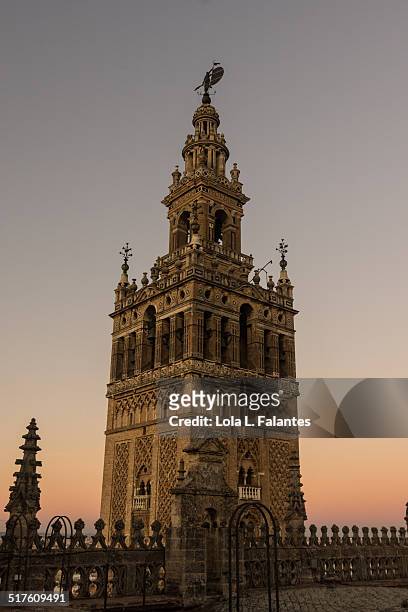 la giralda - seville cathedral stock pictures, royalty-free photos & images