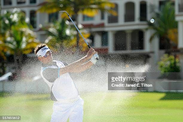 Ian Poulter of England plays his third shot from the bunker on the 14th hole during the third round of the Puerto Rico Open at Coco Beach on March...