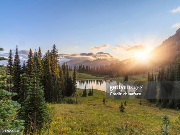 mt.rainier in sunset - washington state landscape stock pictures, royalty-free photos & images