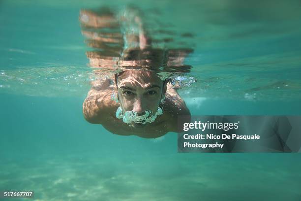 man swimming - 1m diving stockfoto's en -beelden