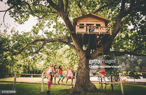 children in a treehouse with boy climbing up rope ladder - tree house stock pictures, royalty-free photos & images