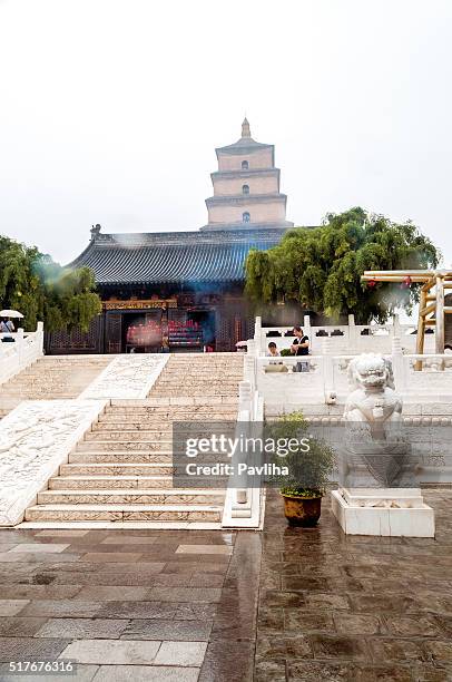 wild gans pagode in xian, shaanxi provinz, china. - woman shower candle stock-fotos und bilder
