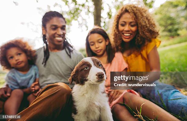 close up of family enjoying new adorable fluffy border collie - family with pet stock pictures, royalty-free photos & images