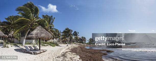 tulum  destination - yucatan provincia - mexico - lune de miel stock-fotos und bilder