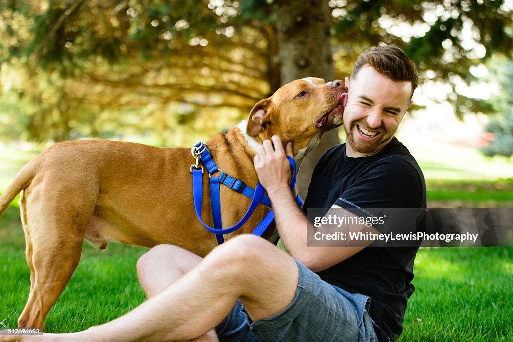 PItbull Kiss