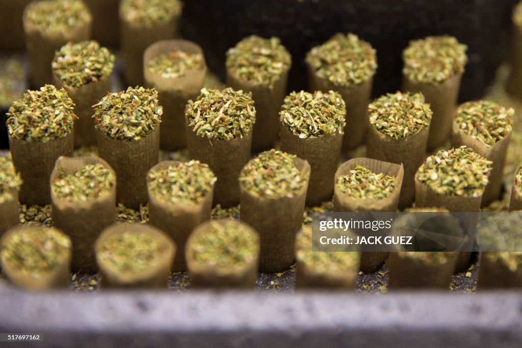 ISRAEL-HEALTH-MARIJUANA-LIFESTYLE