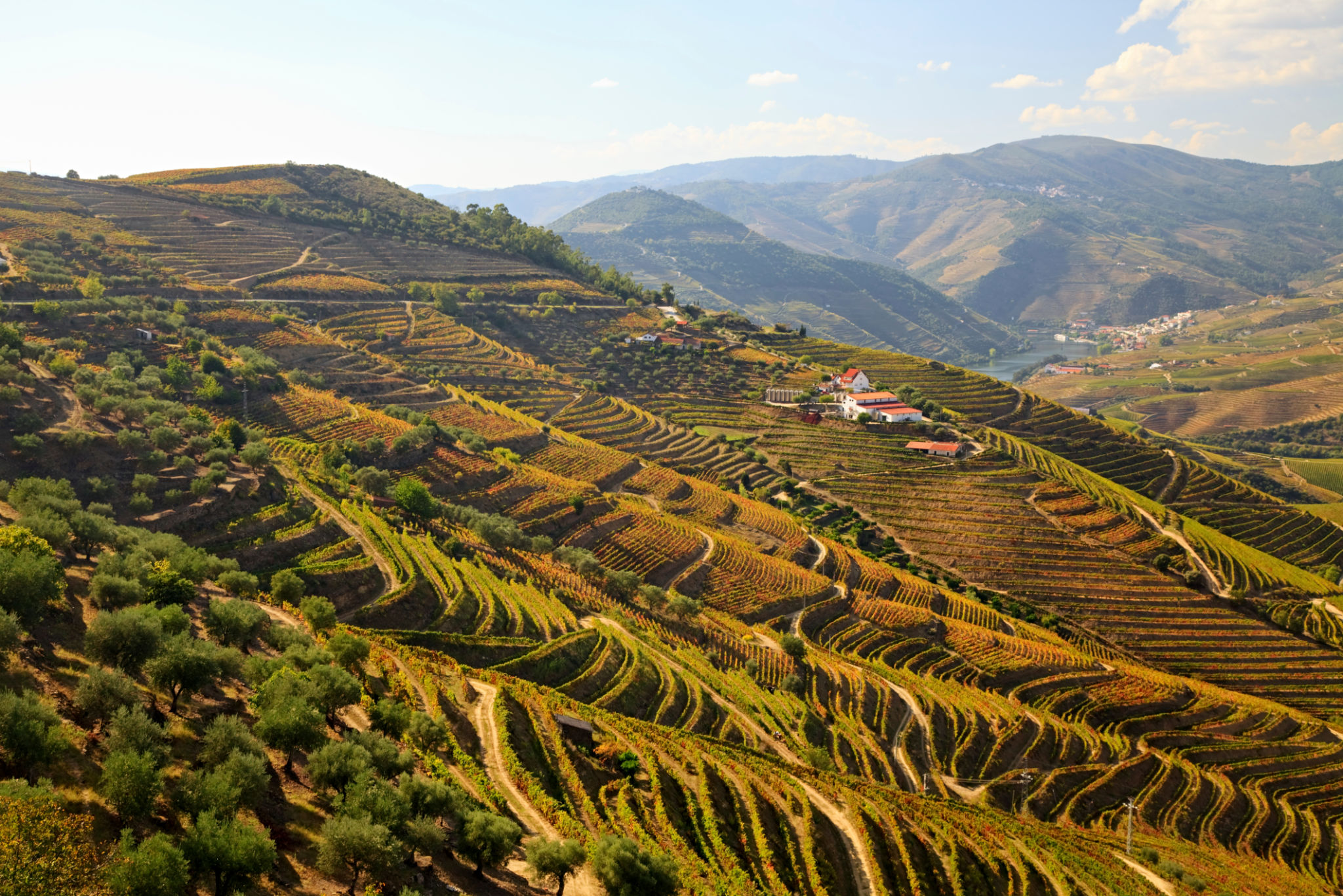 Douro Valley autumn