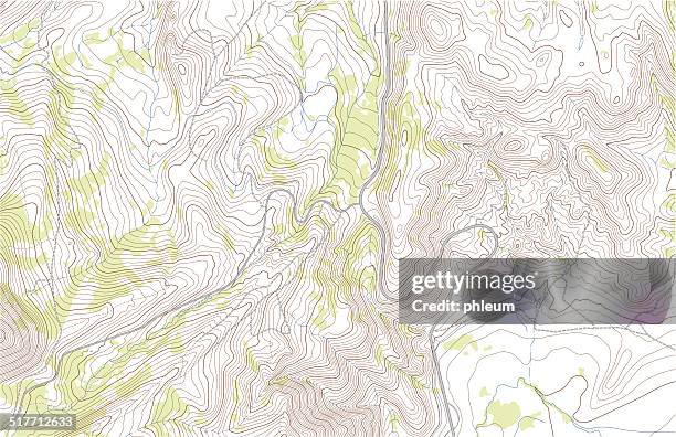 stockillustraties, clipart, cartoons en iconen met topographic map with roads and forest - topografische kaart