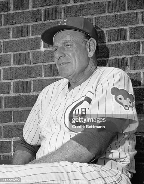 Chicago Cub's manager Leo Durocher sits in dugout and takes a look at his players during batting practice before the start of the Pirates game, 6/29....