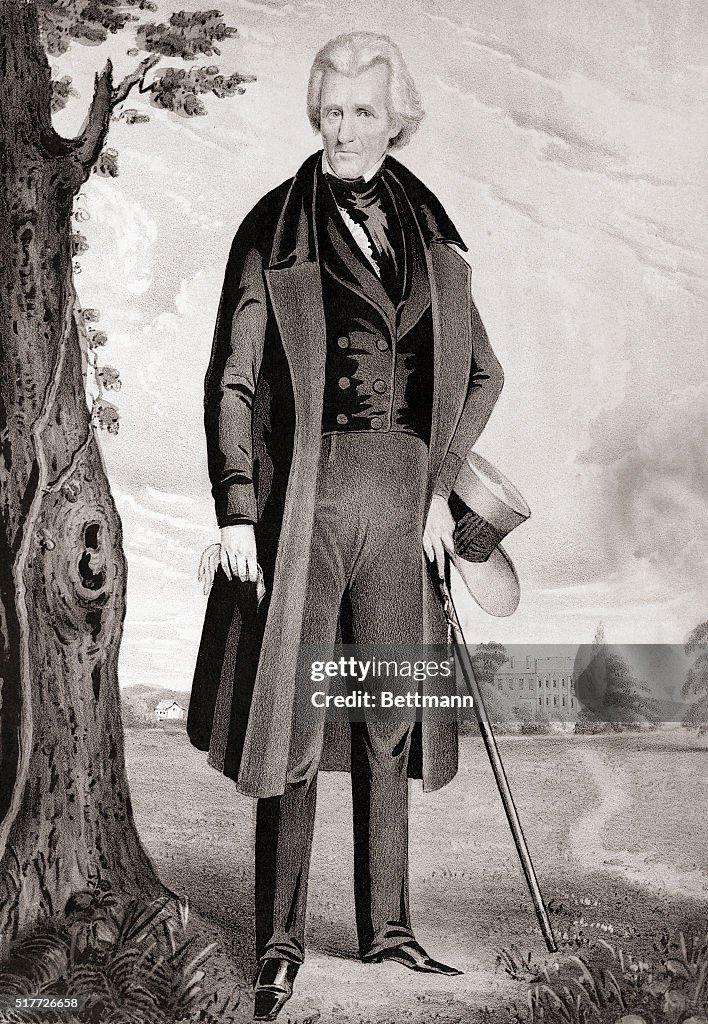 Portrait of Andrew Jackson in Retirement