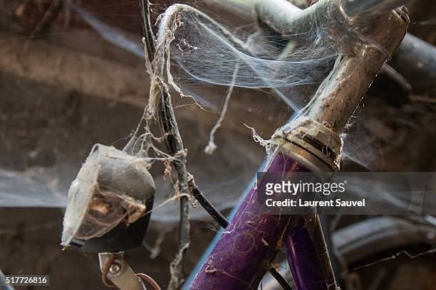 an old fashioned bicycle with old spider webs - laurent sauvel stock pictures, royalty-free photos & images