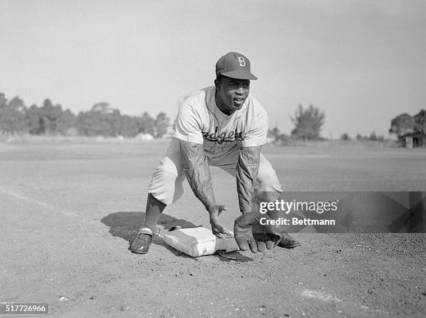 Jackie Robinson during baseball practice. Here J. Robinson shown bending to catch a ground ball.