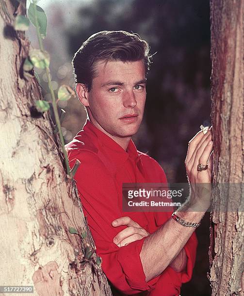 Palm Springs, CA: Actor Robert Wagner stands, posed, smoking beside tree, close-up.