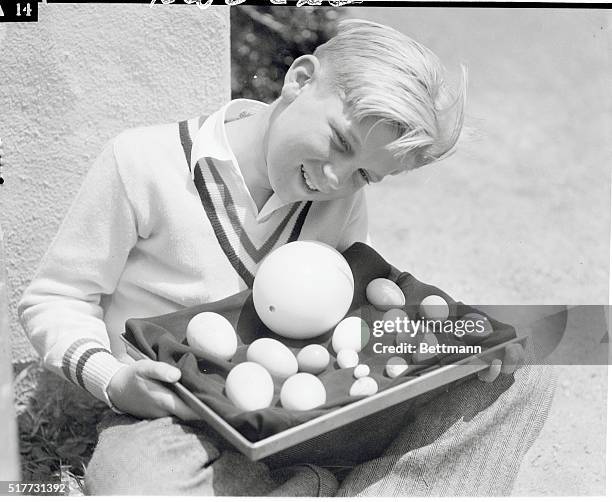 Catalina Island, Calif.: Bird egg collectors the world over have a right to be envious of young "Jo Jo" Overholt. "Jo Jo" has a collection of some of...