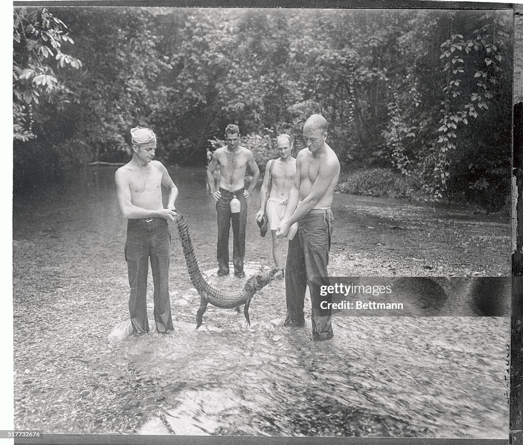 Soldiers Carrying Crocodile