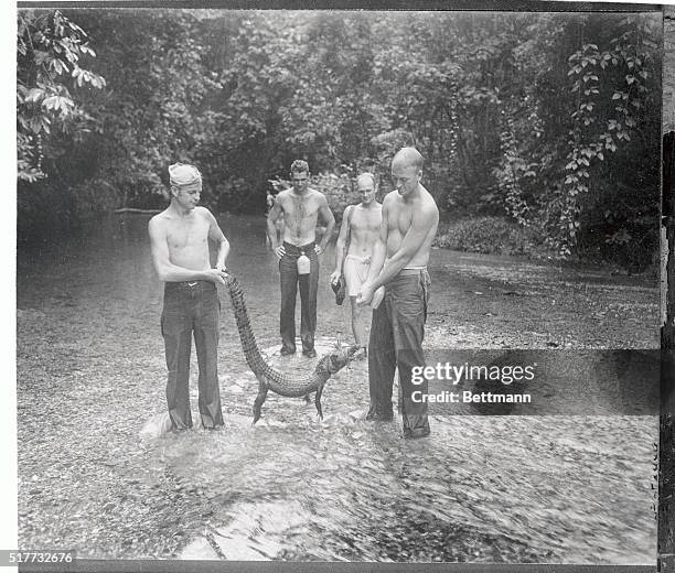 Soldiers Carrying Crocodile, News Photo