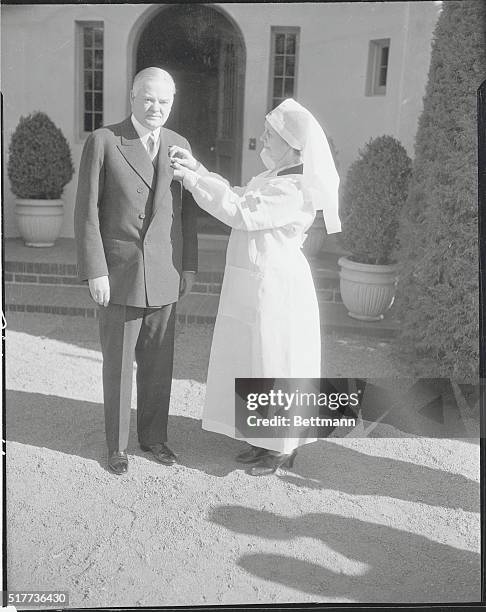 Palo Alto, California: Hoover...Nurse. A Red Cross Button For The President. Mrs. Margaret Willis of Palo Alto, California, pins a Red cross button...