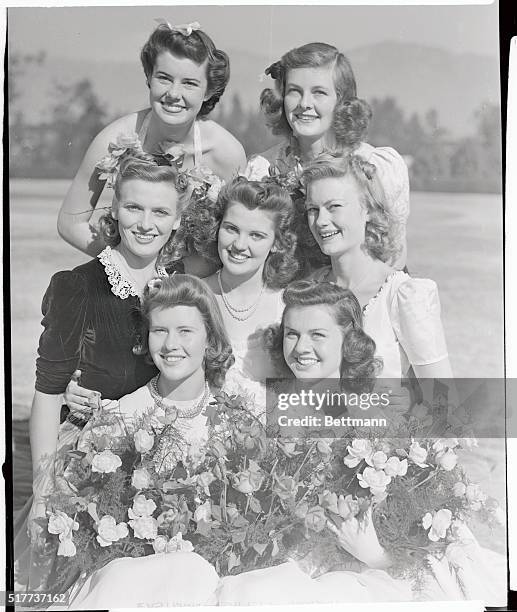 117 Rose Dolores Stock Photos, HighRes Pictures, and Images Getty Images