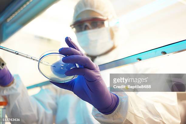 Scientist in a laboratory