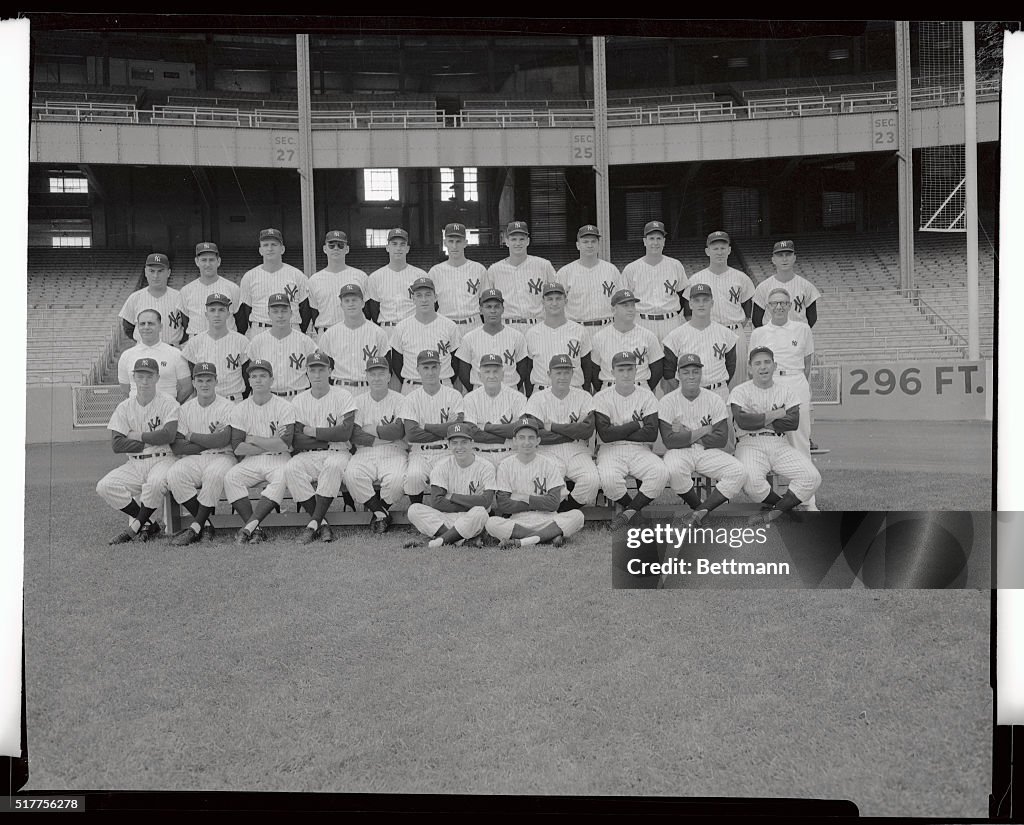 Portrait of New York Yankees Nineteen Fifty Five