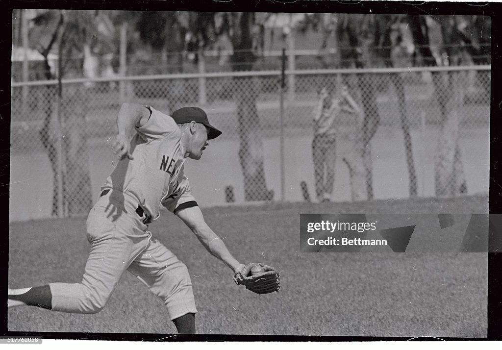 Mickey Mantle Going Down for a Catch