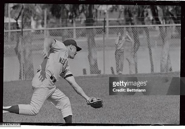 Mickey Mantle of the Yankees makes a shoestring catch here during outfield fielding drill at the Yank's spring training camp on March 4th.