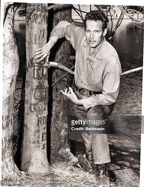 Vandalsim, which includes carving initials in trees, destroys the beauty of the nation's woodland. Charlton Heston points out the damage done by...