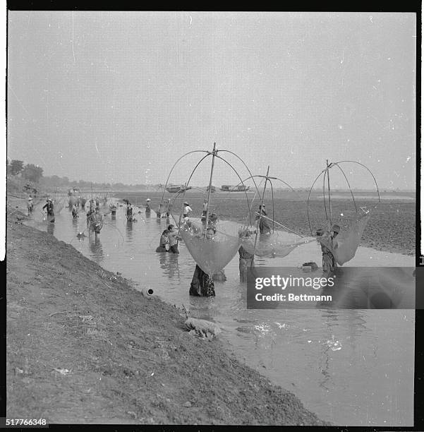 Fish don't stand a chance as Laotian villagers converge on a shallow finger of the Mekong River, near Vientiane. The fisherman, mostly women, use big...