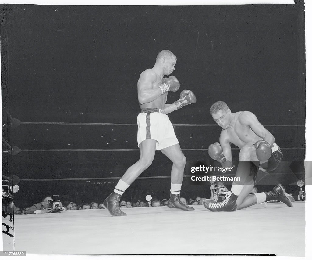 Boxers in Action Fight
