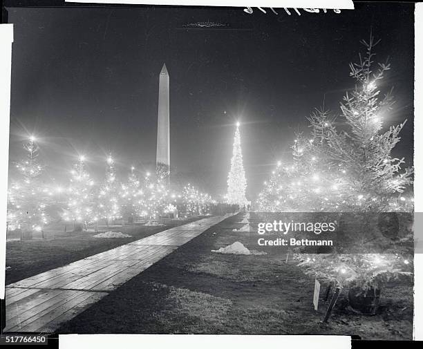 View of the White House lawn, all brilliant with sparkling Christmas tree lights, after President Eisenhower performed the traditional lighting...