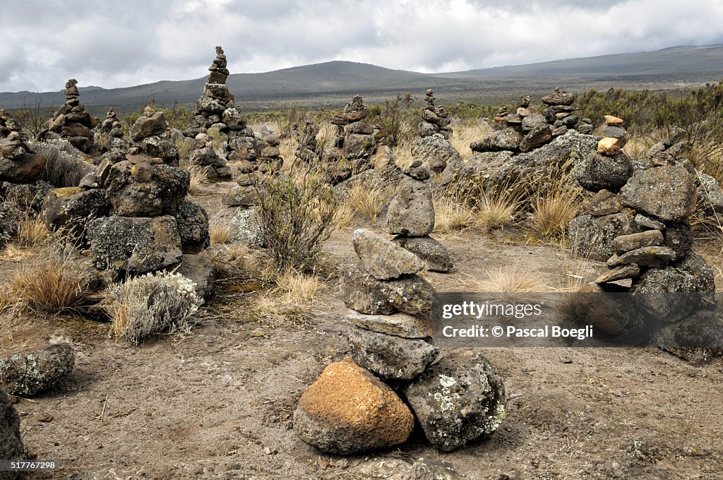 Rocks piled (cairns) on Shira Plateau, Kilimanjaro National Park, Lemosho trail