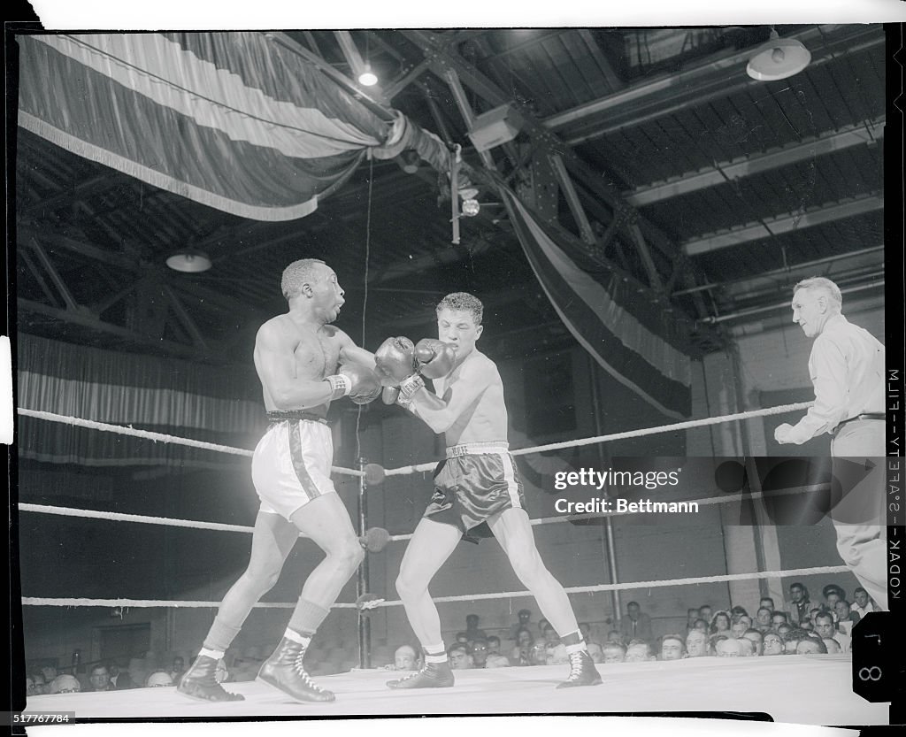 Boxers in Action