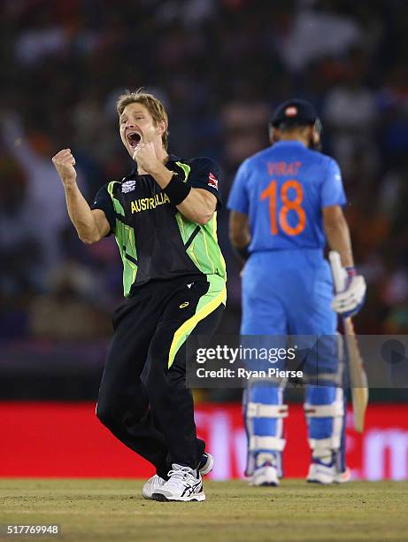 Shane Watson of Australia celebrates after taking the wicket of Suresh Raina of India during the ICC WT20 India Group 2 match between India and...