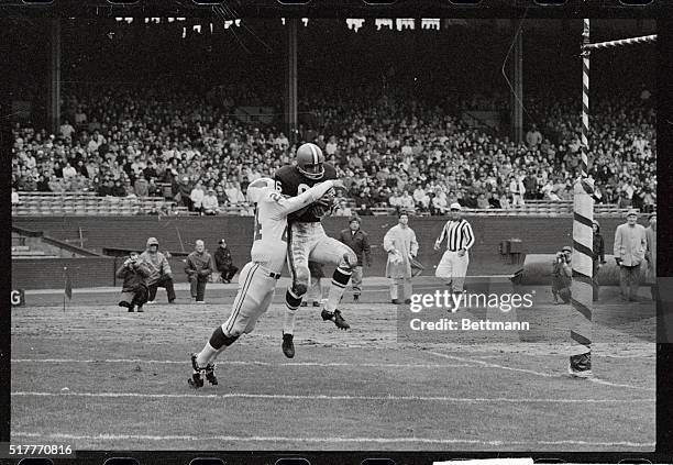 Gary Collins end for Cleveland Browns catches Frank Ryan's QB, pass in the end zone for a touchdown in second quarter. Billy Stacy, DHB of St. Louis...