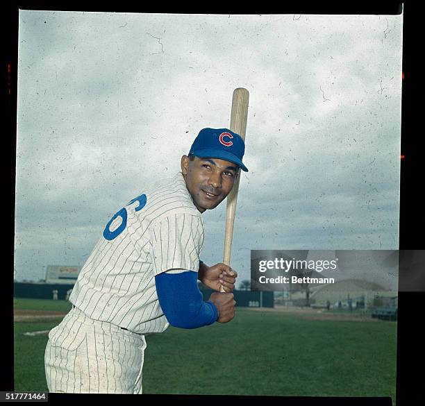 Closeup, Billy Williams, Chicago Cubs outfielder, during spring training. Posed batting shot.