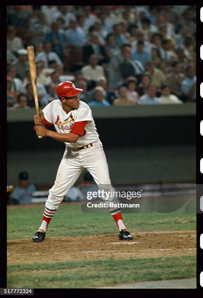 St. Louis Cardinals second baseman Julian Javier bats August 16th, in game against the Chicago Cubs