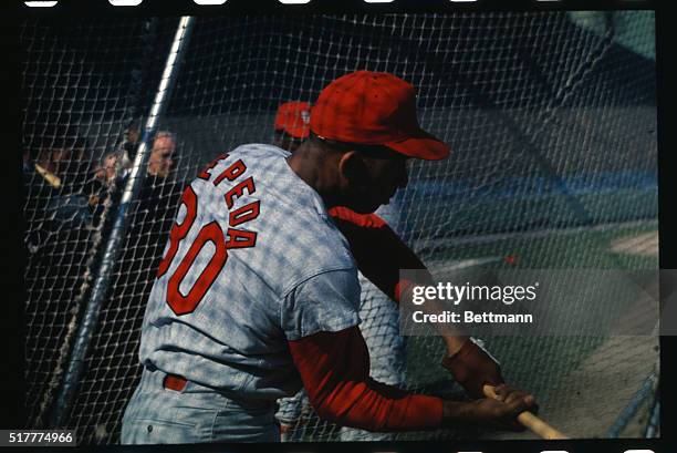 St. Louis Cardinals' first baseman Orlando Cepeda in batting cage, Oct 3rd, during practice session, a day before the World Series opener.